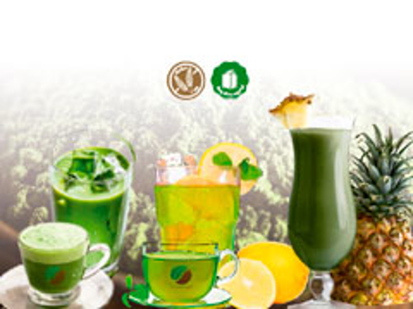 Franquicia Yoim Ginseng Coffee Franquicia Yoim Ginseng Coffee